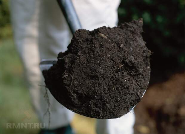 Органическое земледелие: хватит разрушать почву перекапыванием и прополкой