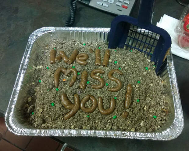The Kind Of Farewell Cake You Get For Your Last Day At A Vet Office