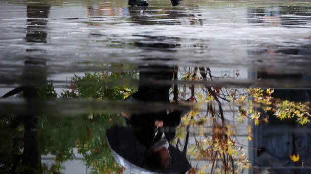 Стоит брать зонты? Синоптики рассказали о погоде в Москве 26 октября