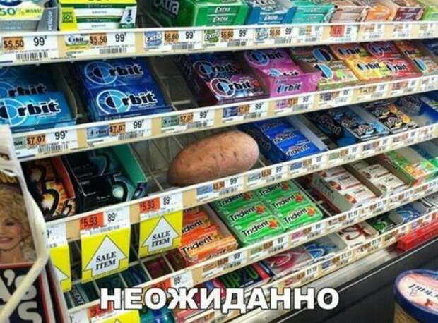 Новые прикольные фотомемы (25 шт)