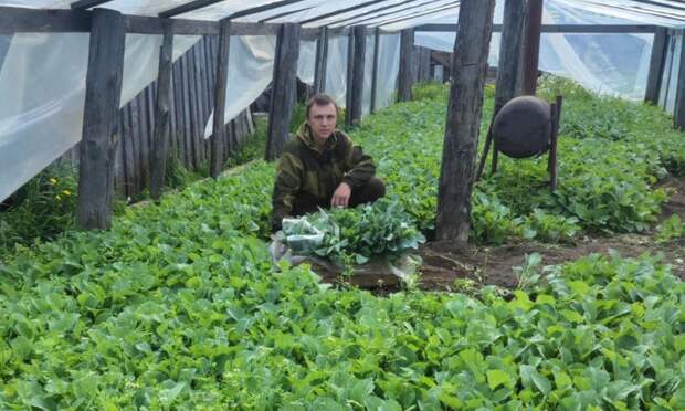 Фермер из Шенкурского округа победил в престижном грантовом конкурсе
