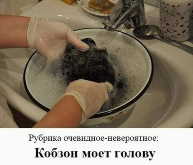 1454412485_foto-7