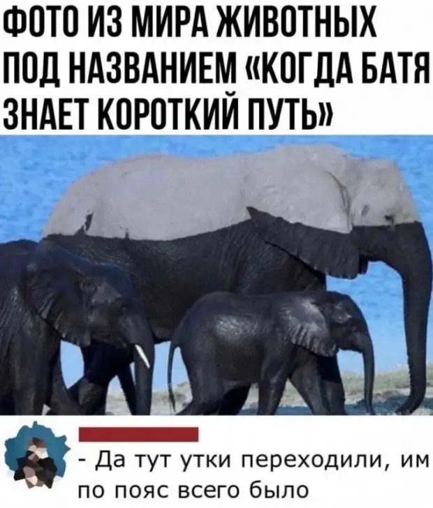 Комментарии к постам в социальных сетях Комментарии к постам в социальных сетях