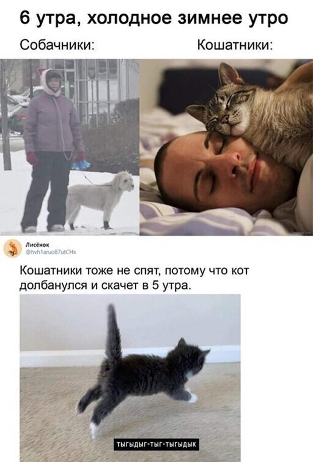 Скрины из соцсетей