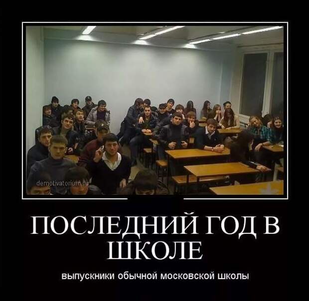 Прикольные демотиваторы с надписями. Подборка chert-poberi-dem-chert-poberi-dem-55000330082020-9 картинка chert-poberi-dem-55000330082020-9