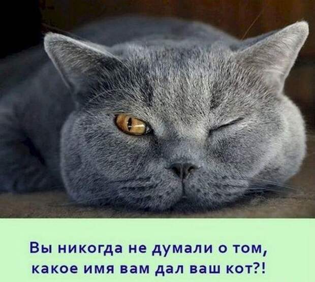 Супер веселые картинки и мемы