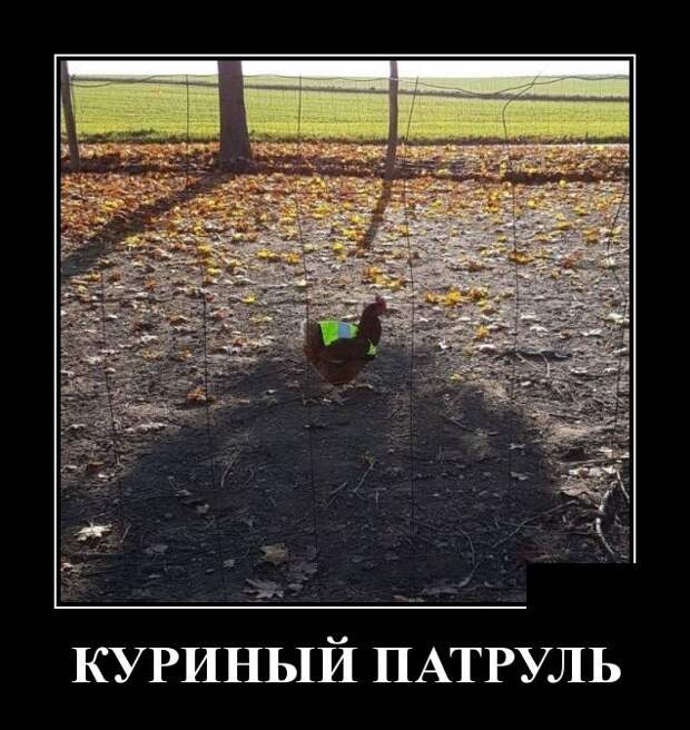 Демотиваторы (30 фото)