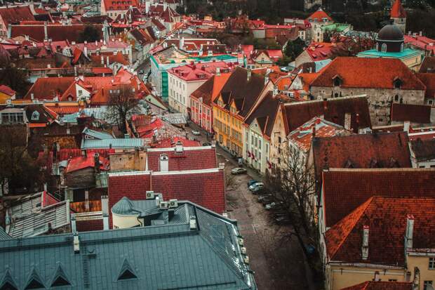 ERR: в Эстонии скупают генераторы после заявления премьера о проблемах с электричеством