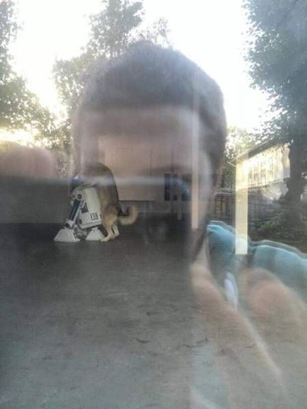 1451500655_83
