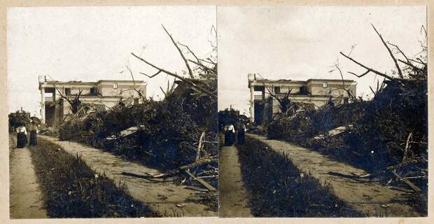 263741 Последствия урагана 16 июля 1904г..jpg