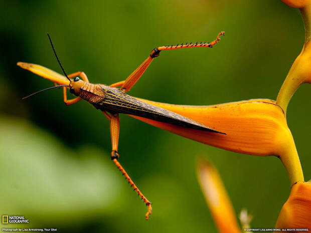 Лучшие фотографии сентября 2011 от National Geographic