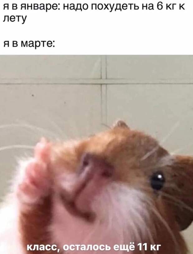 @psychology_funny  #юмор #смешное #приколы