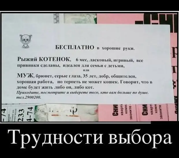 25 шуточек и анекдотов в картинках для чудесного настроения