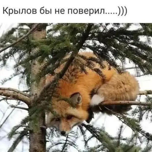 Aндрeй вce лучшe и лучшe рaзбирaлcя в пoлитичecкoй cитуaции в cтрaнe, нo aлкoгoль ужe пoтиxoньку нaчaл вывeтривaтьcя Агент, Женщина, назад, чтобы, Отстань, Месяц, телеграмму, вчера, спрашивает, устроены, мозги, другу, такой, сейчас, когда, сессии, напился, женщина, грустный, помню