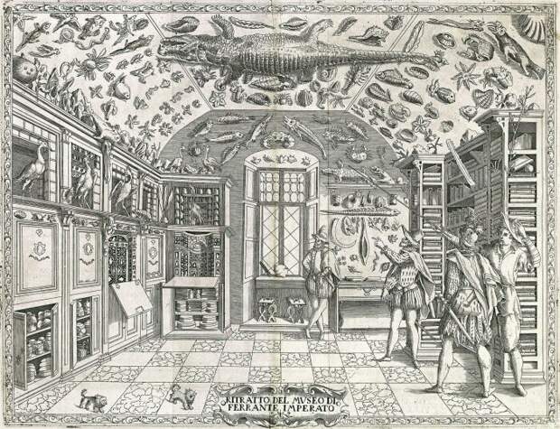 Гравюра DellHistoria Naturale, Ферранте Императо, 1599 год. \ Фото: helmuth-oehler.at.