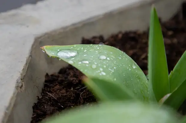 После потепления жителей Тулы и области вновь будут ждать дожди и заморозки