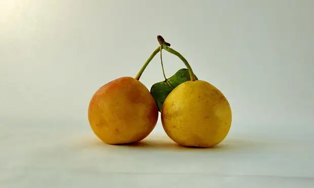 Фото-рецепт: ароматное варенье из целых груш с корицей и лимоном