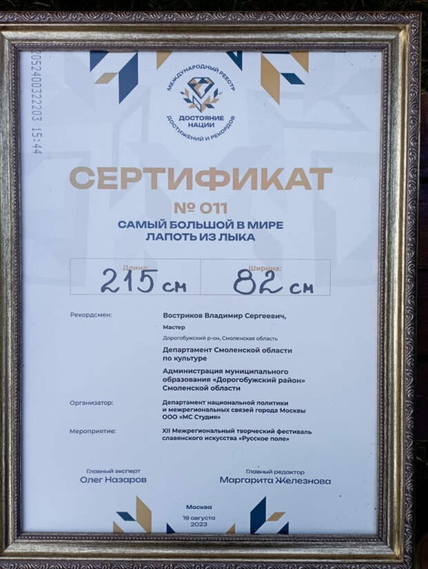 лапоть 2
