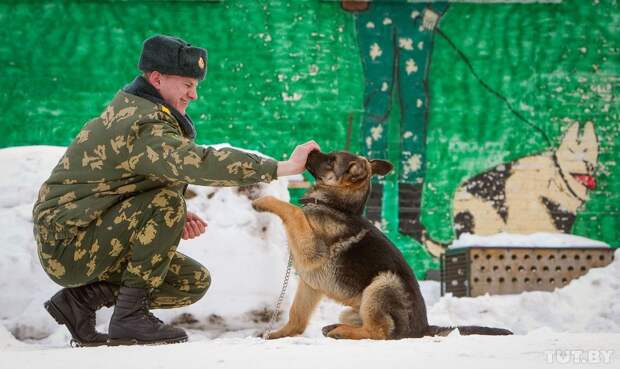 Кинологи