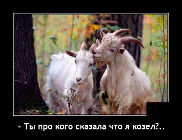Демотиваторы Демотиваторы
