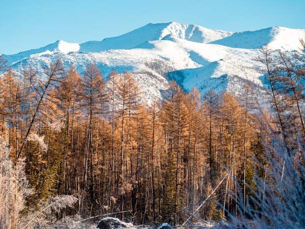 Джергинский заповедник. На пути в затерянный мир путешествия, факты, фото