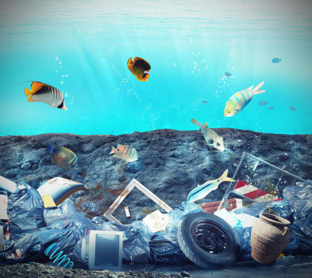 Куда уходит пластик из мирового океана?