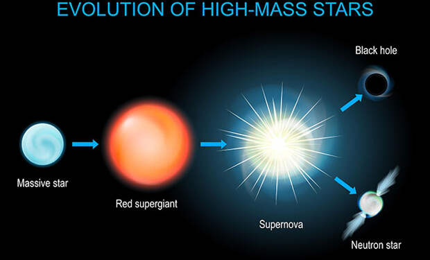 Фото: Shutterstock