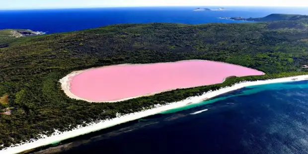 Озеро Хиллер в Австралии