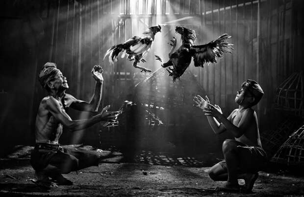 siena-international-photo-awards-travel-winners-2016-20-58173e45414d7__880