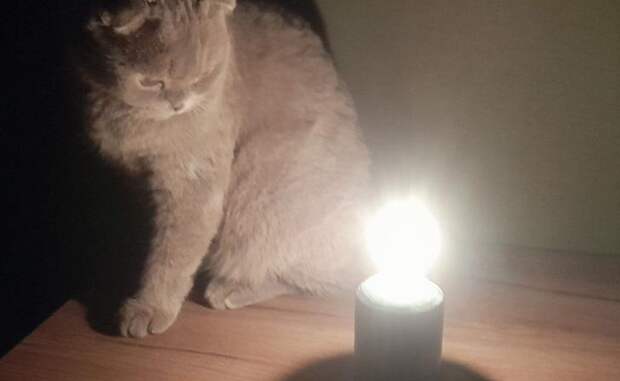 Энергетики временно отключат электричество на некоторых улицах Курска из-за плановых работ