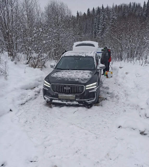 Челябинская семья пропала в лесу в новогоднюю ночь