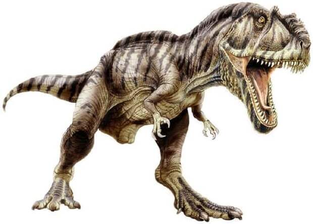 Гигантозавр археология, динозавры, страшилища