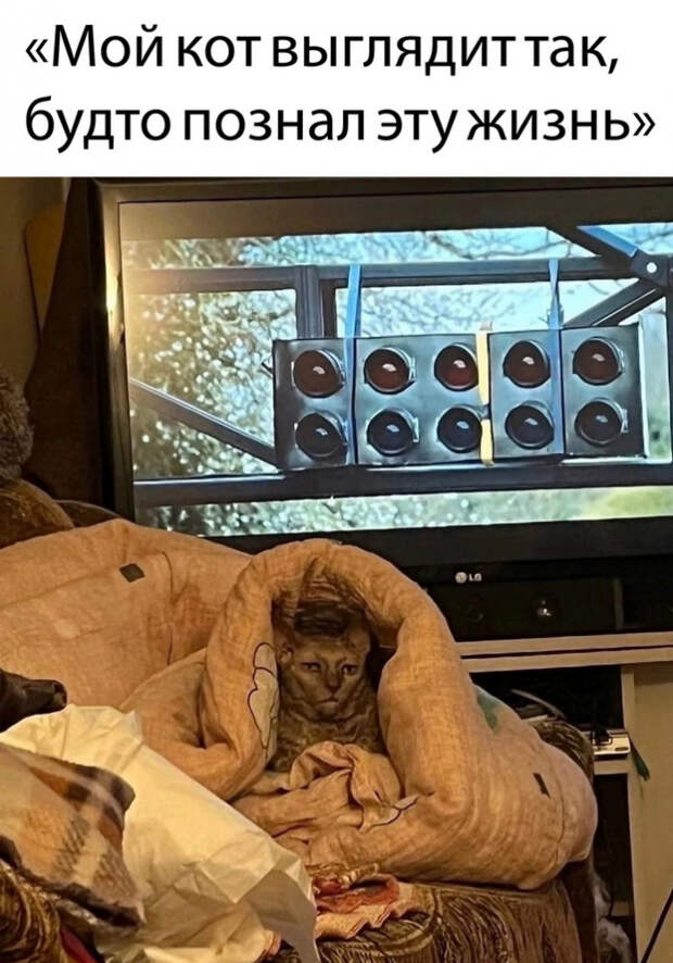 мемас