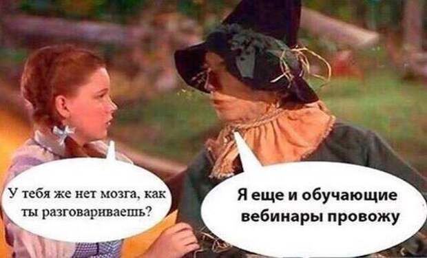 Приколы науки и образования