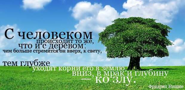 Полезные цитаты на все случаи жизни (64 картинки)