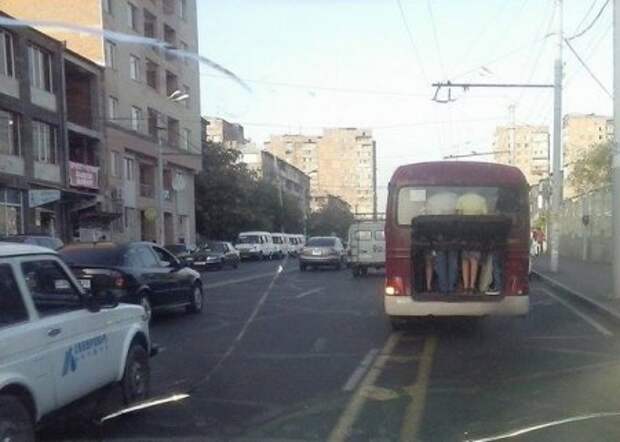 1450589294_12