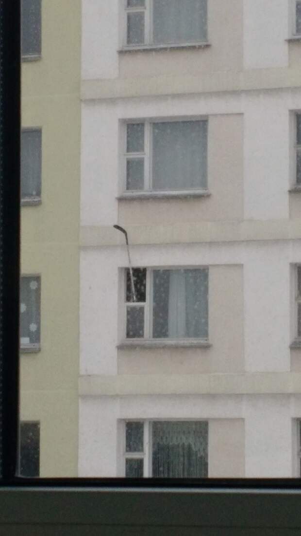 Веселые фото выходного дня! приколы, фото, юмор