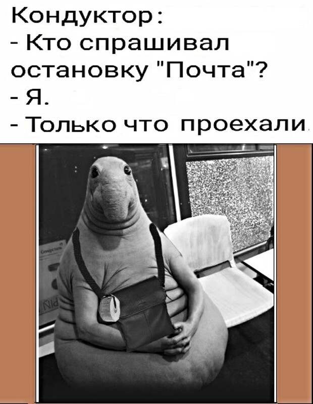 Картинки с надписями, истории и анекдоты