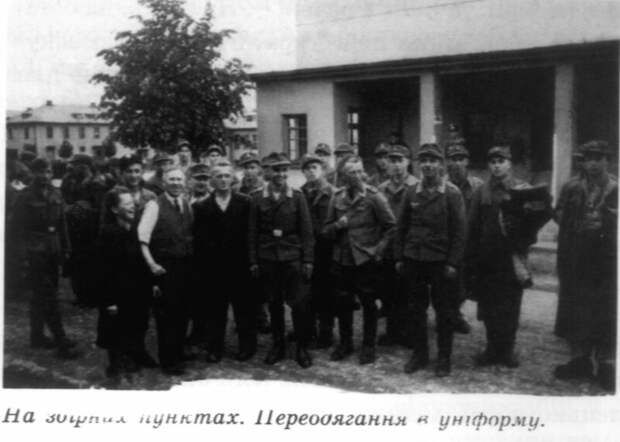 Украинские помощники люфтваффе и ПВО