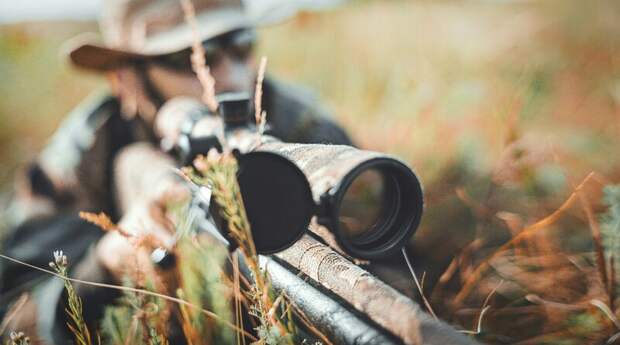 Власти Новосибирской области доложили о «цифровизации» охотников