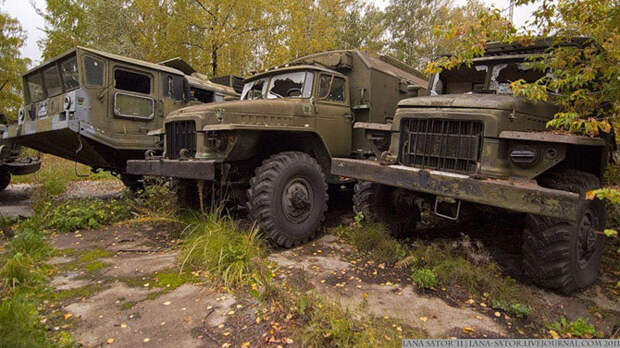 Брошенная военная техника в лесу Брошенная военная техника в лесу