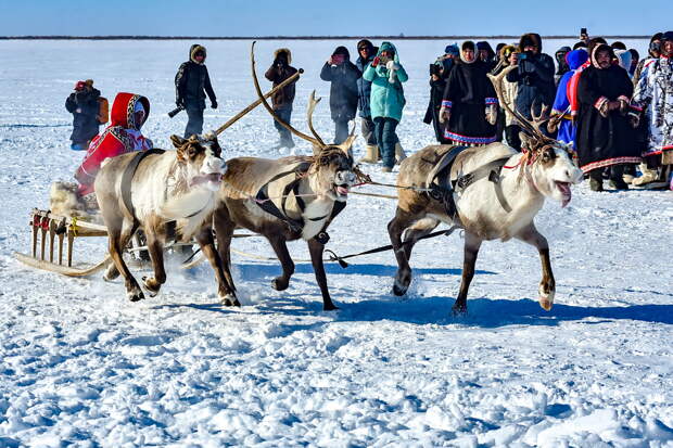 Тревел-блогер побывал в самом северном селе России и описал его фразой «место без отзывов»