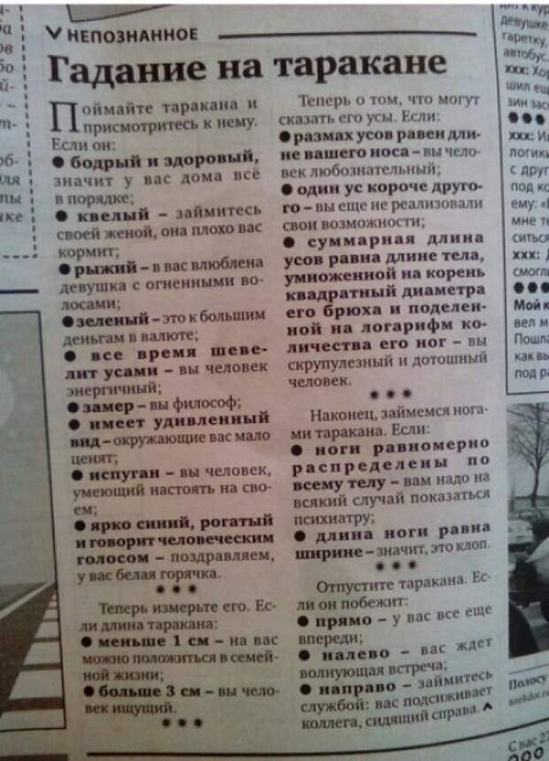 perly-kartinki-smeshnye-kartinki-fotoprikoly