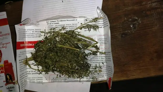 Жителя Краснослободского района будут судить за хранение конопли и маковой соломки