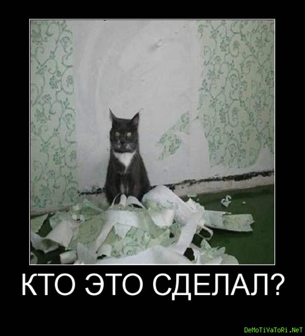 ff10cca047a5cddaaf74716adad2e958