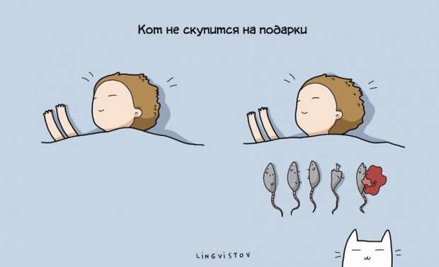 Преимущества жизни с котом