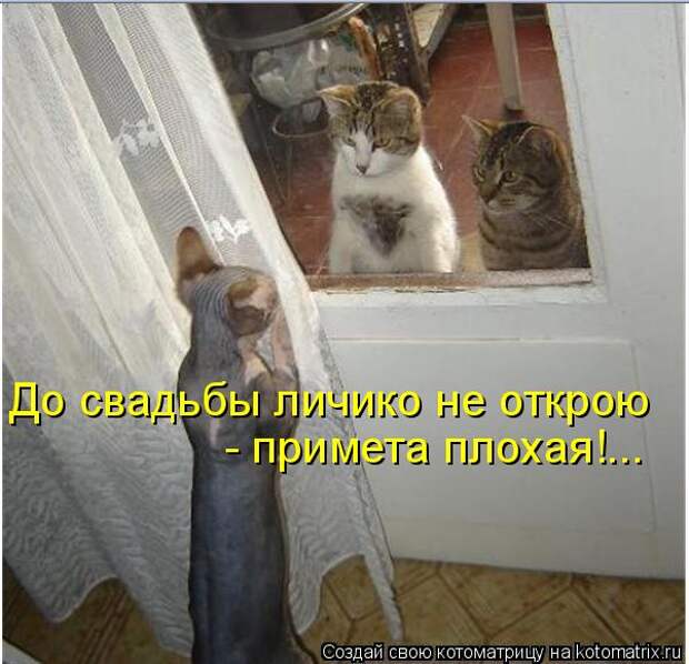3802001_1_26 (601x580, 54Kb)