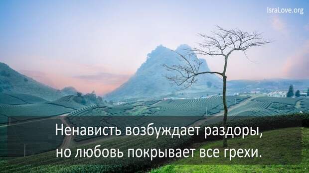 25 наимудрейших цитат царя Соломона