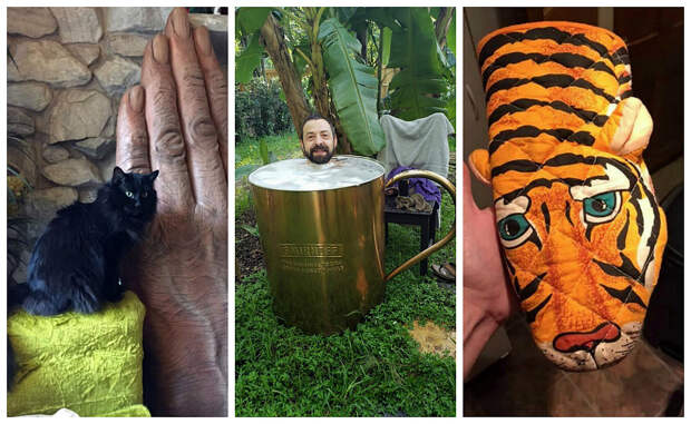 Диско-свинья, телефон-рот и другие диковинки, купленные с рук