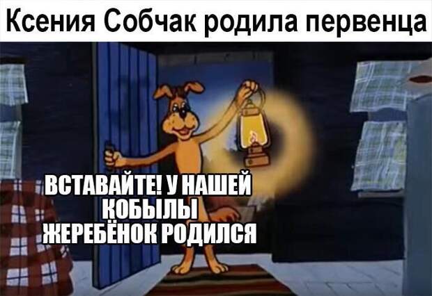 Картинки с надписями  мем, прикол, юмор